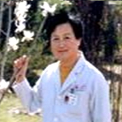 毛滕淑