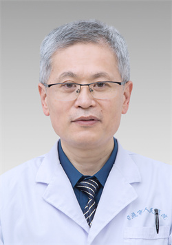 苏磊