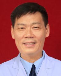 田贺新