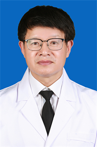 马哲