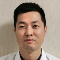 陶帅