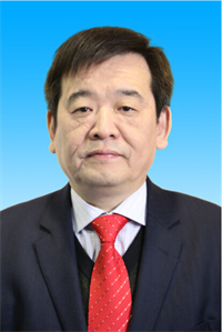 王树凡