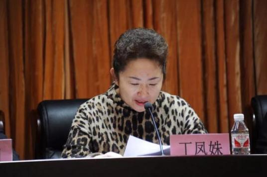 丁凤姝