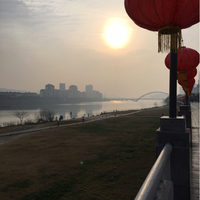 向证文