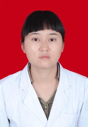 段凤