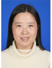 王晓焕