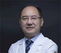 谢安木