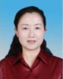 杨晓黎