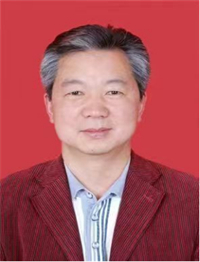 张献朝