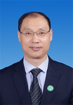 卢微波