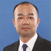 陈凯