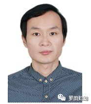 魏春清